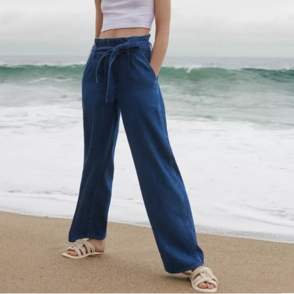 Aritzia Wilfred Free Solace Paperbag Jean